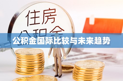 石楼公积金国际比较与未来趋势