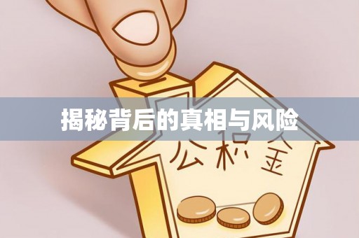 石楼揭秘背后的真相与风险