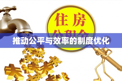 石楼推动公平与效率的制度优化