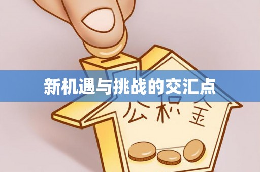 石楼新机遇与挑战的交汇点