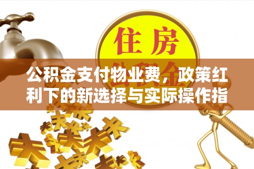 石楼公积金支付物业费，政策红利下的新选择与实际操作指南