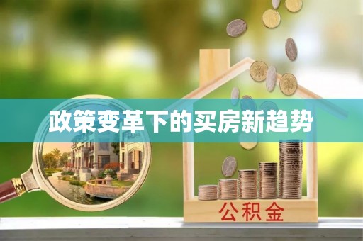 石楼政策变革下的买房新趋势