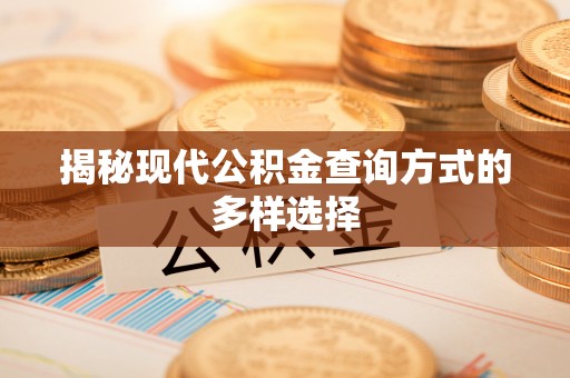 石楼揭秘现代公积金查询方式的多样选择