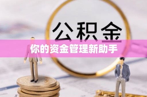 石楼你的资金管理新助手