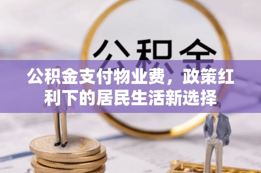 石楼公积金支付物业费，政策红利下的居民生活新选择