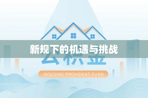 石楼新规下的机遇与挑战