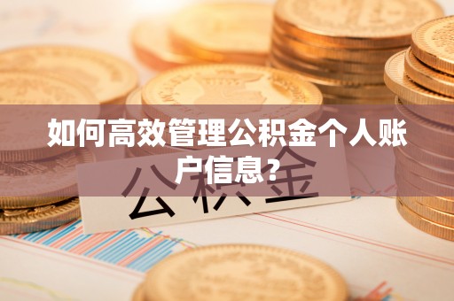 石楼如何高效管理公积金个人账户信息？