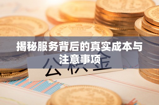 石楼揭秘服务背后的真实成本与注意事项