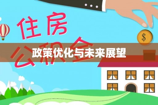 石楼政策优化与未来展望