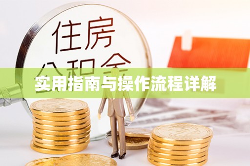 石楼实用指南与操作流程详解