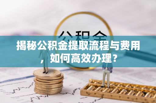 石楼揭秘公积金提取流程与费用，如何高效办理？
