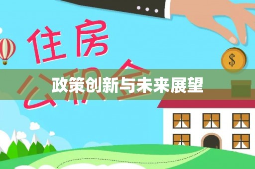 石楼政策创新与未来展望