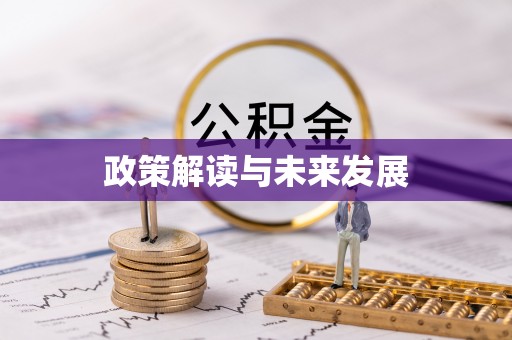 石楼政策解读与未来发展